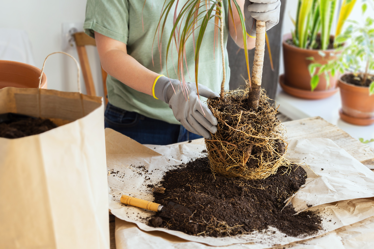 Фотография: pundapanda — shutterstock.com