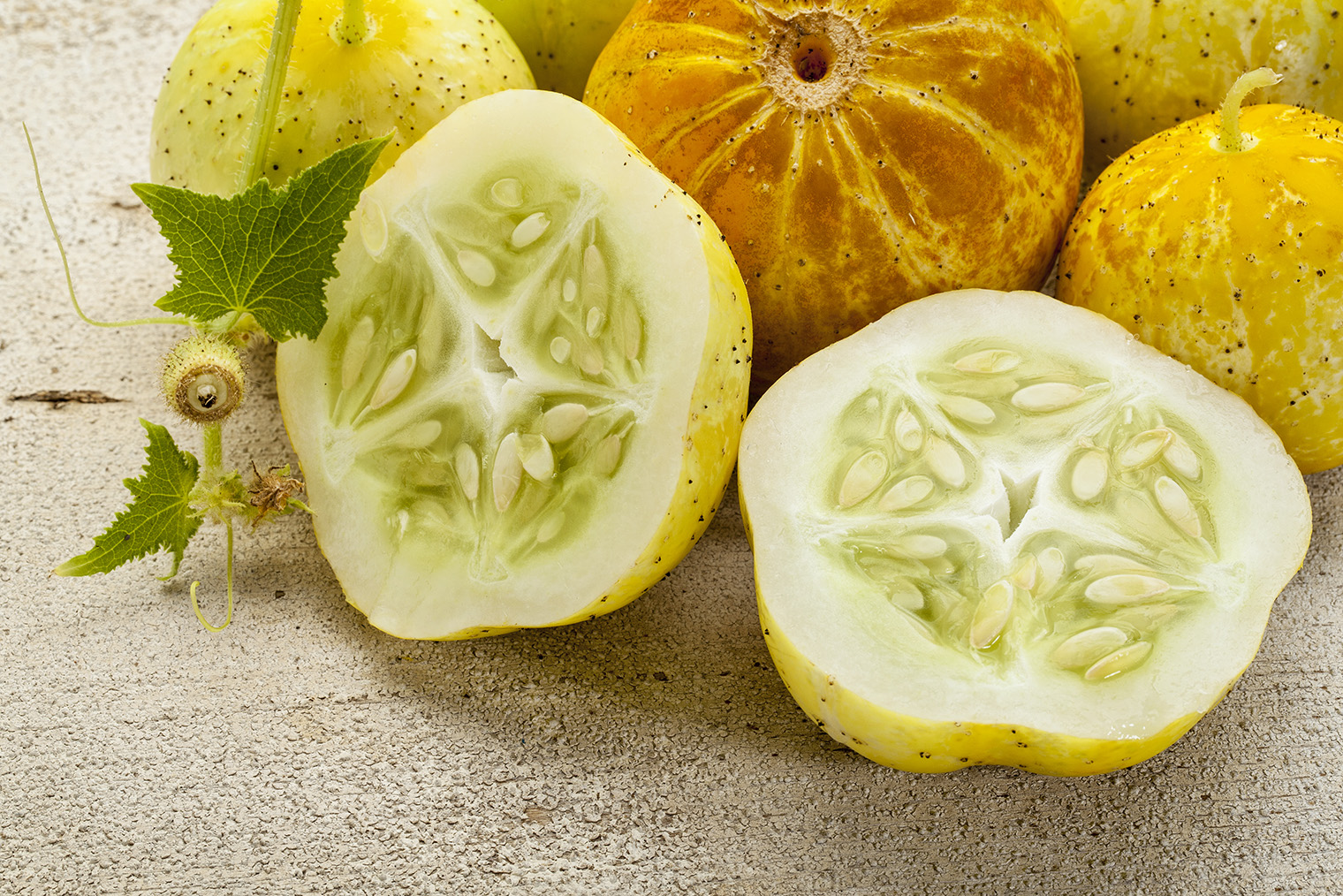 Огурец-лимон на один укус. Фотография: marekuliasz / Shutterstock / FOTODOM