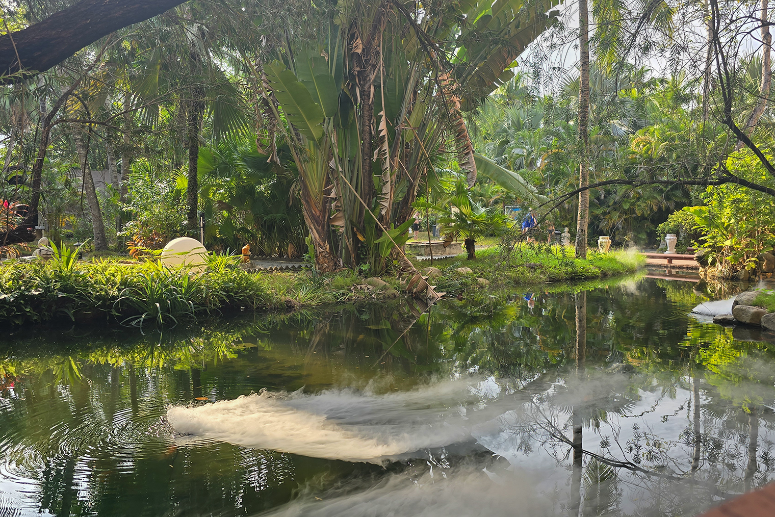 Тут плавают очень жирные золотые рыбки, при виде которых муж всегда делает охотничью стойку