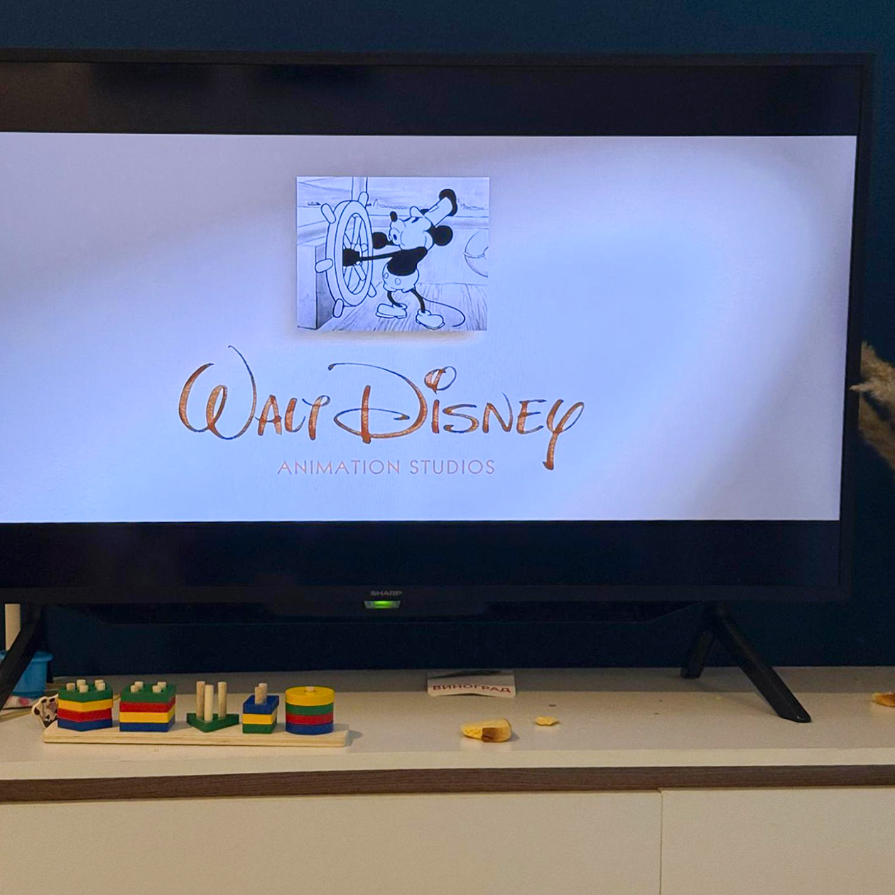 Посмотрели мультфильм всей семьей