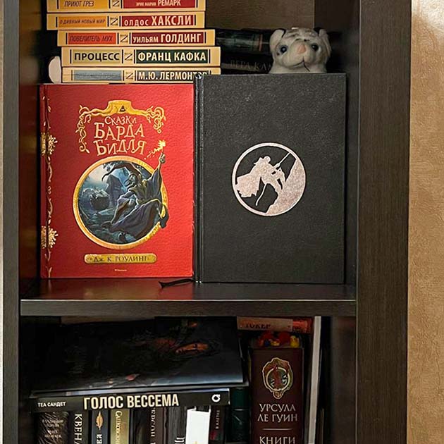 Наша домашняя библиотека. Здесь много фэнтези