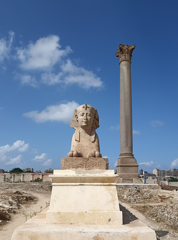 Классический кадр из Александрии — один из сфинксов на фоне колонны Диоклетиана