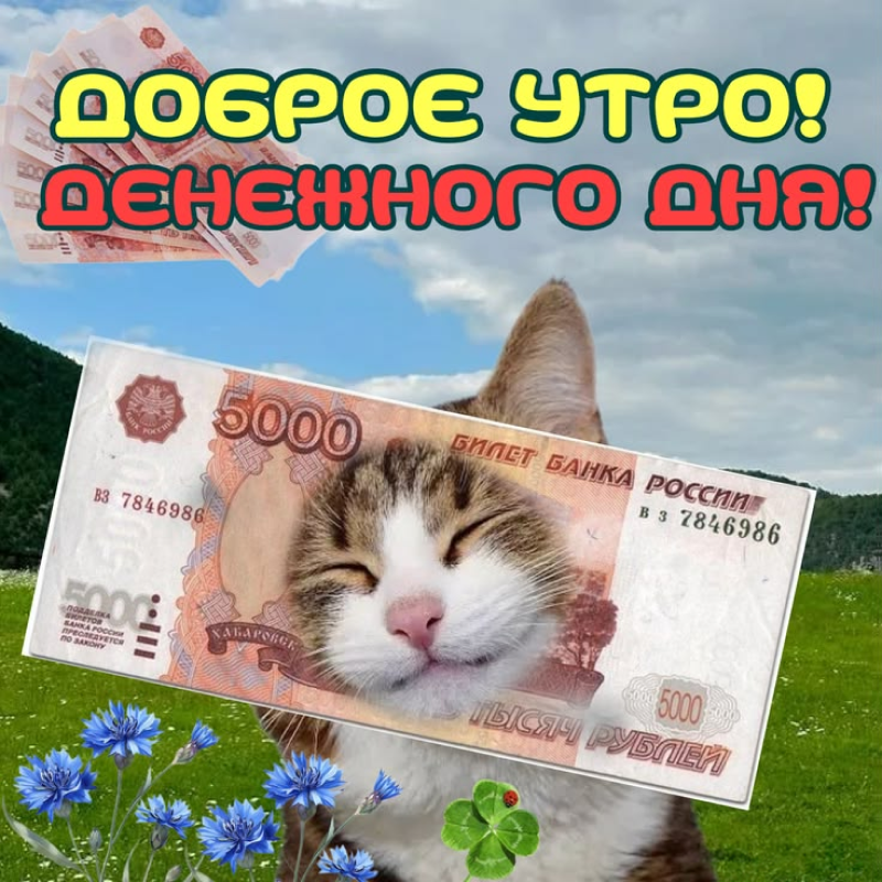Кот в банкноте
