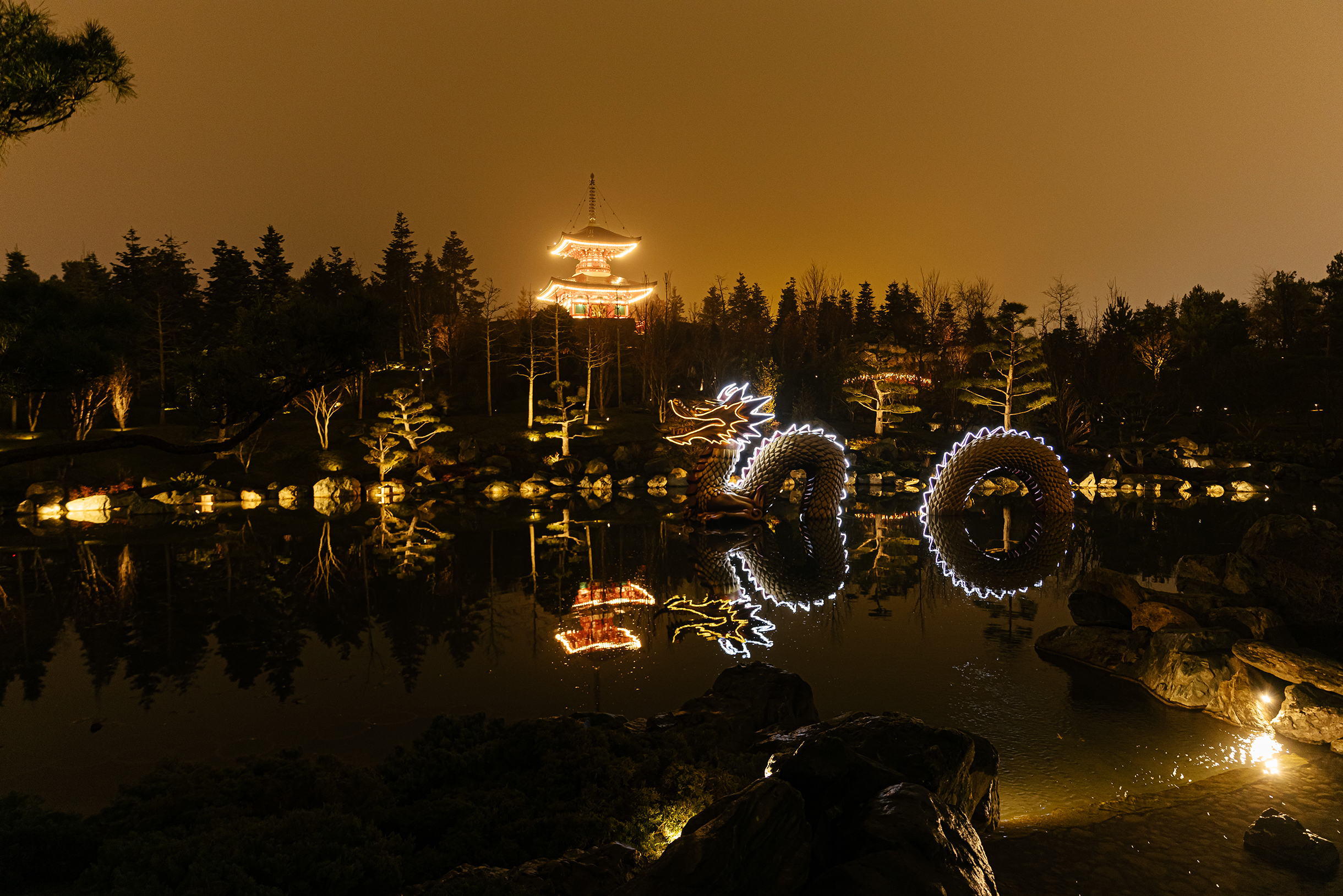 Дракон, аллеи и пагода Тахото в Японском саду тоже обзавелись новогодней подсветкой