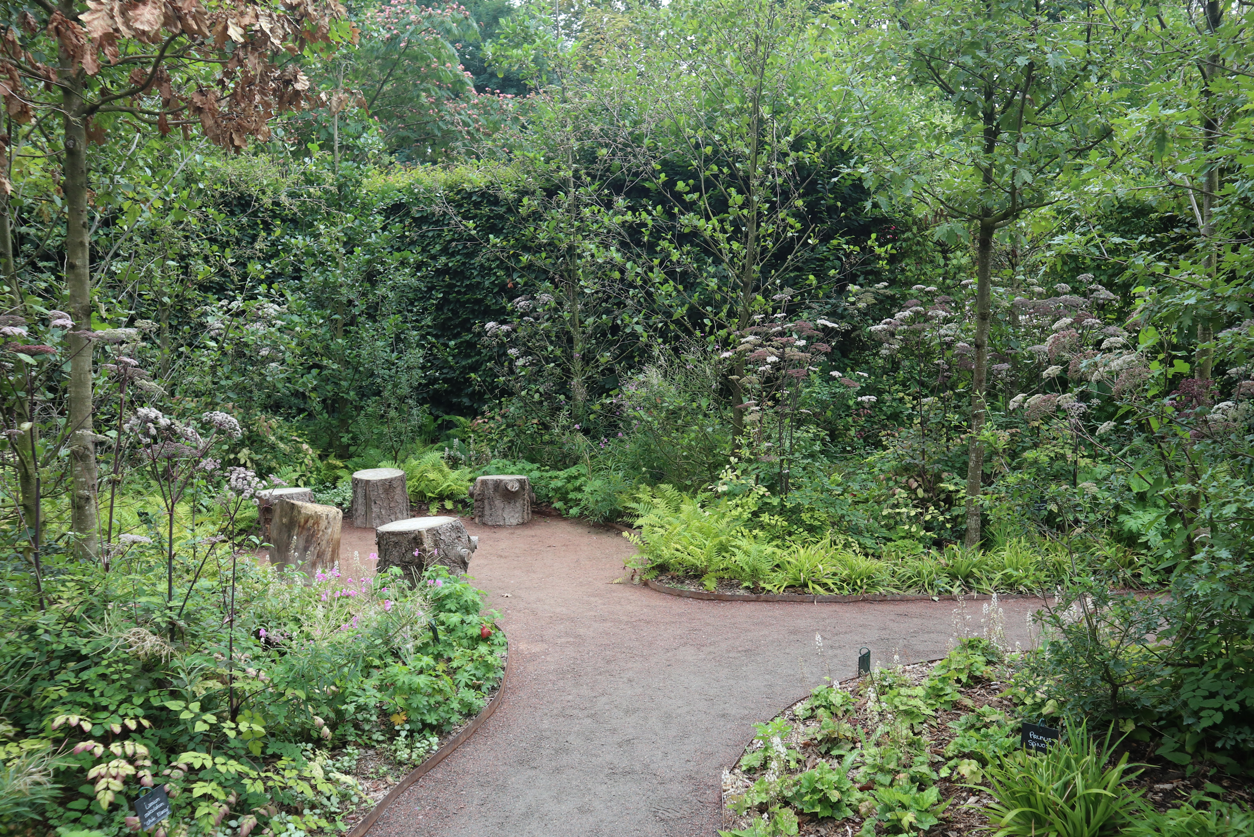 Чурбаки, расставленные в полукруг — очень просто и в стилистике сада Шомон-сюр-Луара во Франции