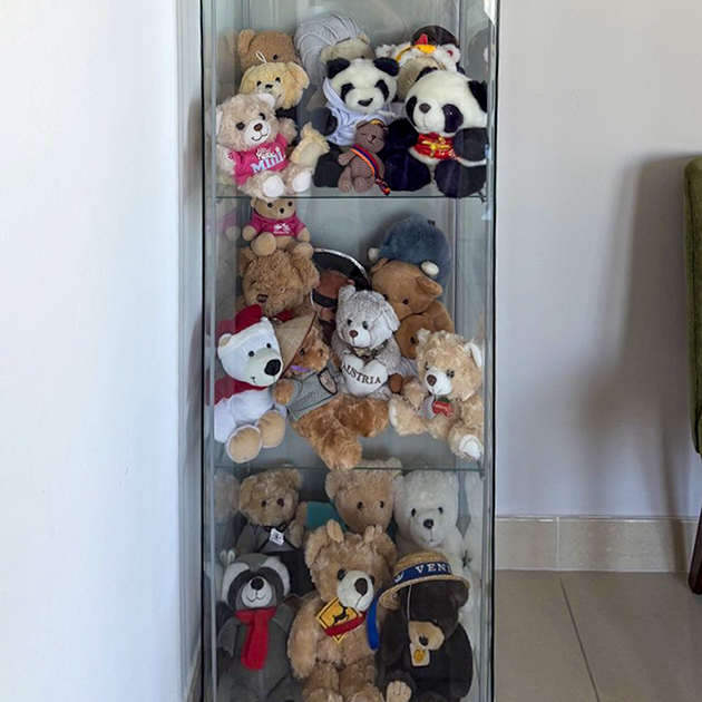 Моя коллекция плюшевых медведей