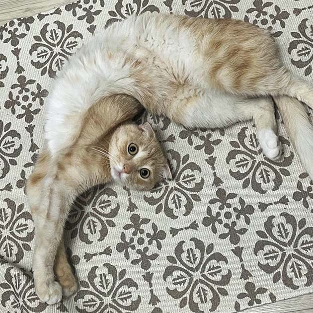 Вот наш хулиган