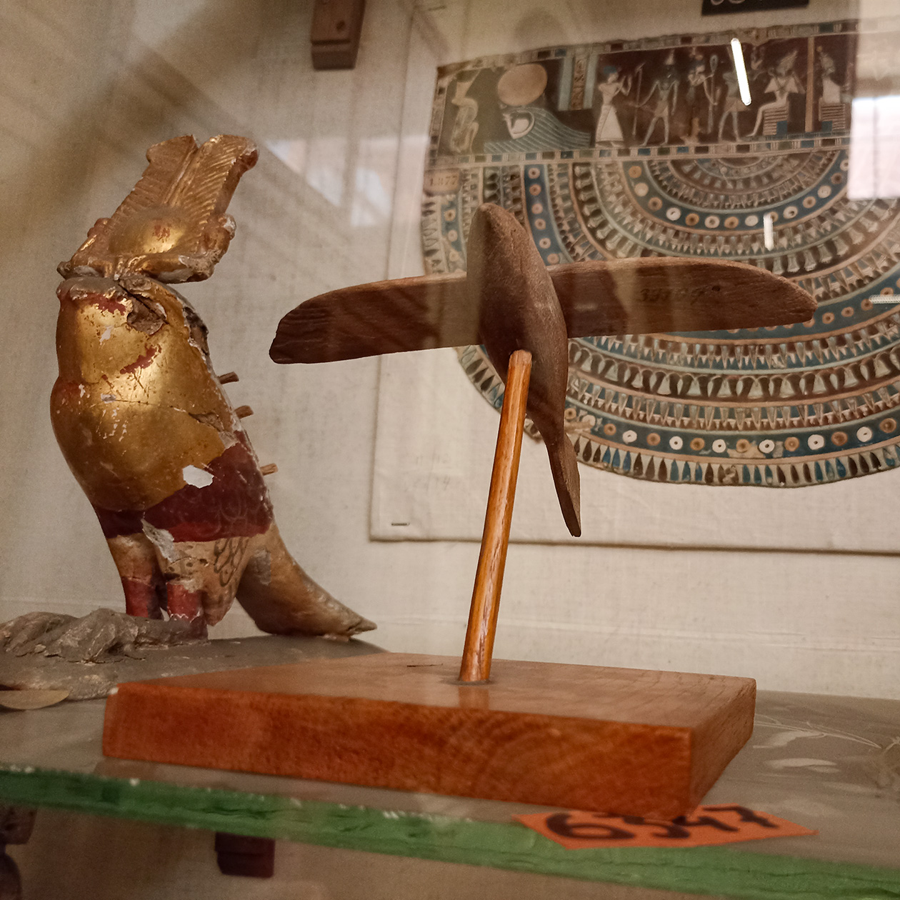 Птица из Саккары, которая кажется неуместной в музее древностей