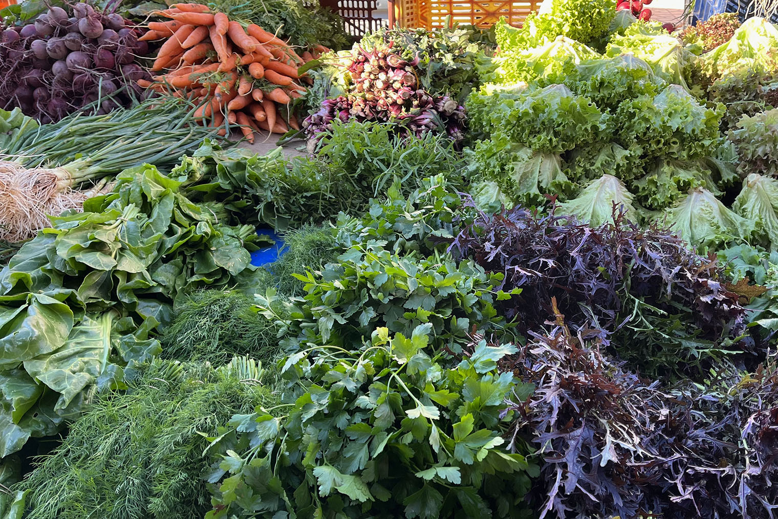 В средиземноморской кухне, напротив, доминируют свежие овощи и рыба. Наталия из Греции отмечает, что на местных рынках продают листовые салаты и зелень всех цветов и видов