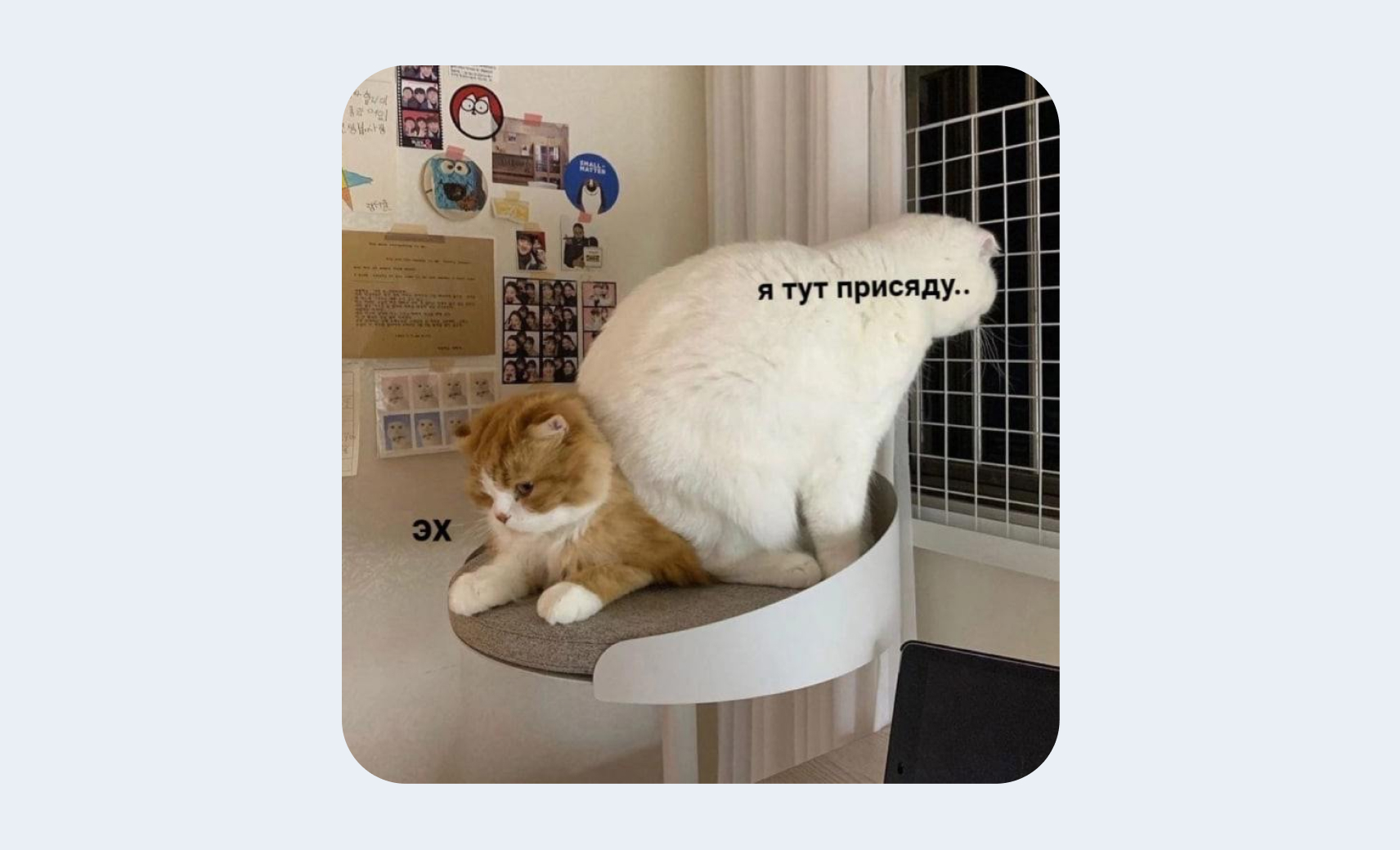 Экспертошная по мемам