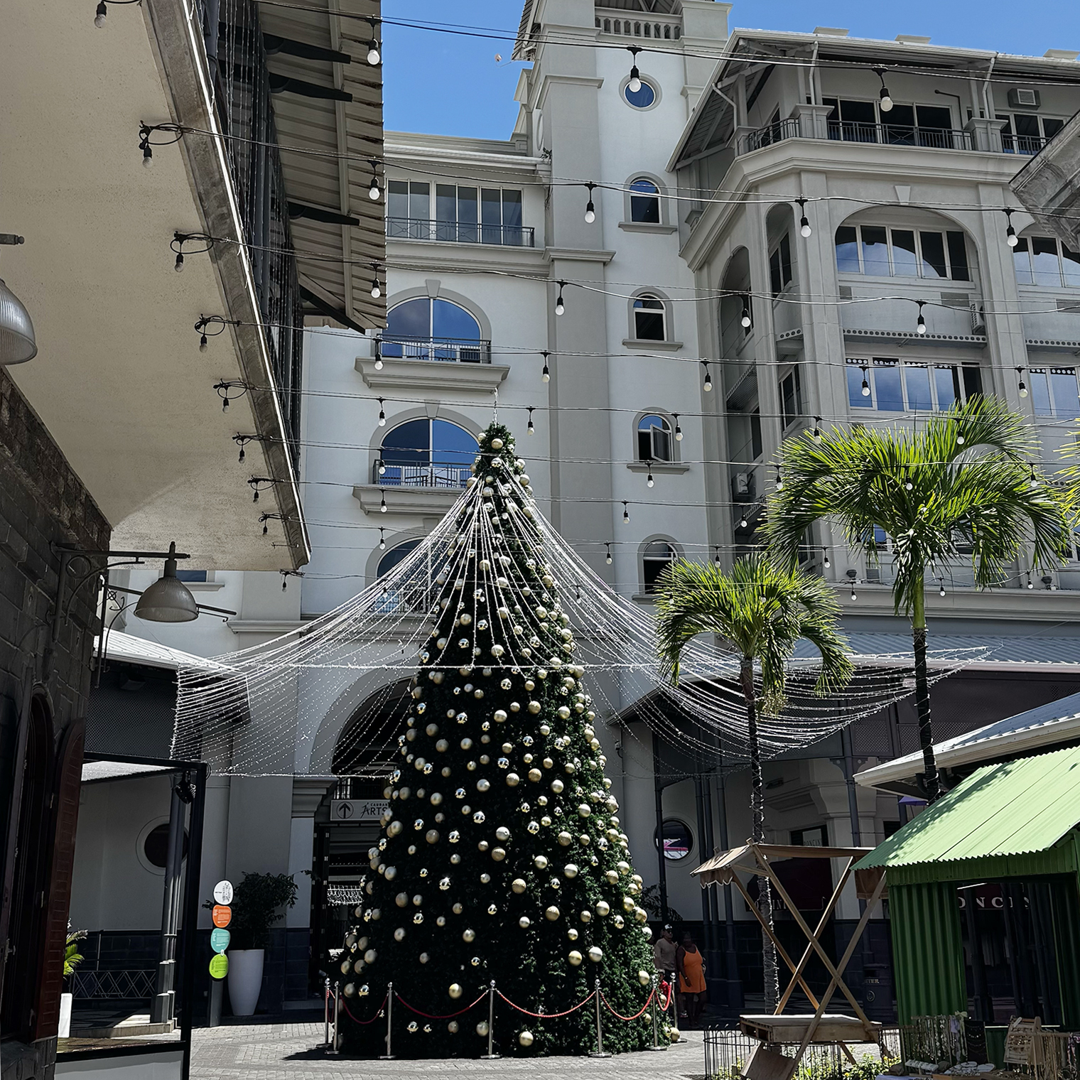 Пальмы, солнце и новогодняя елка в Порт-Луи — столице Маврикия