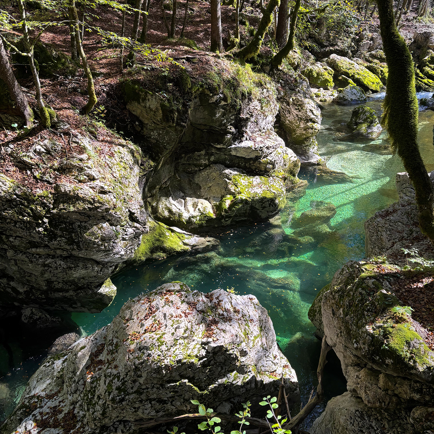 Тропа, ведущая к озеру Бохинь, гораздо более проходимая. На ней снова вернулась зелень, появились признаки цивилизации и другие люди — мы встретили много туристов, которые поднимались к водопаду