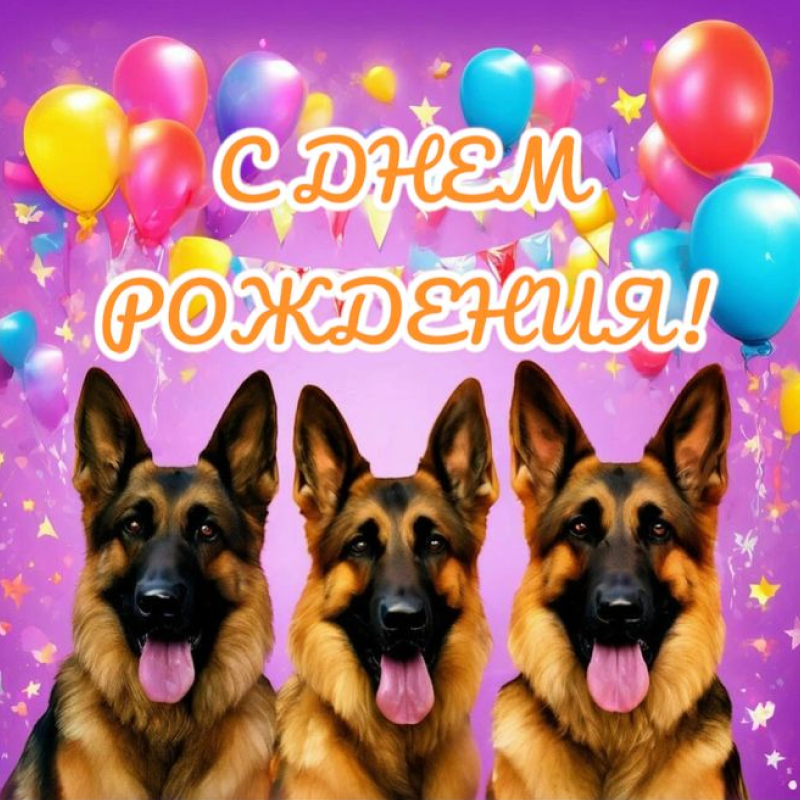 Овчарки