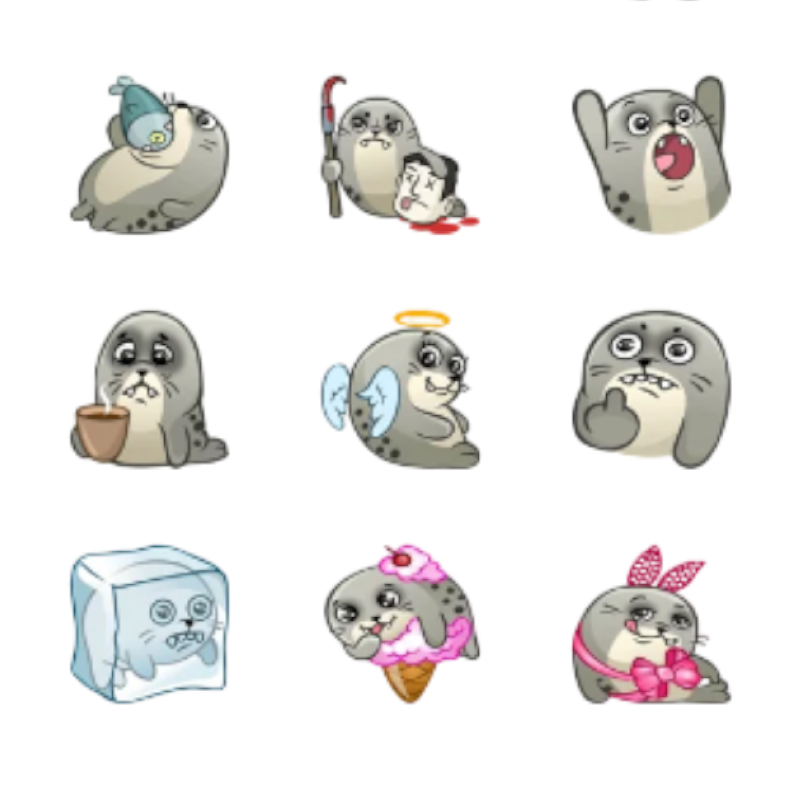 Морской котик