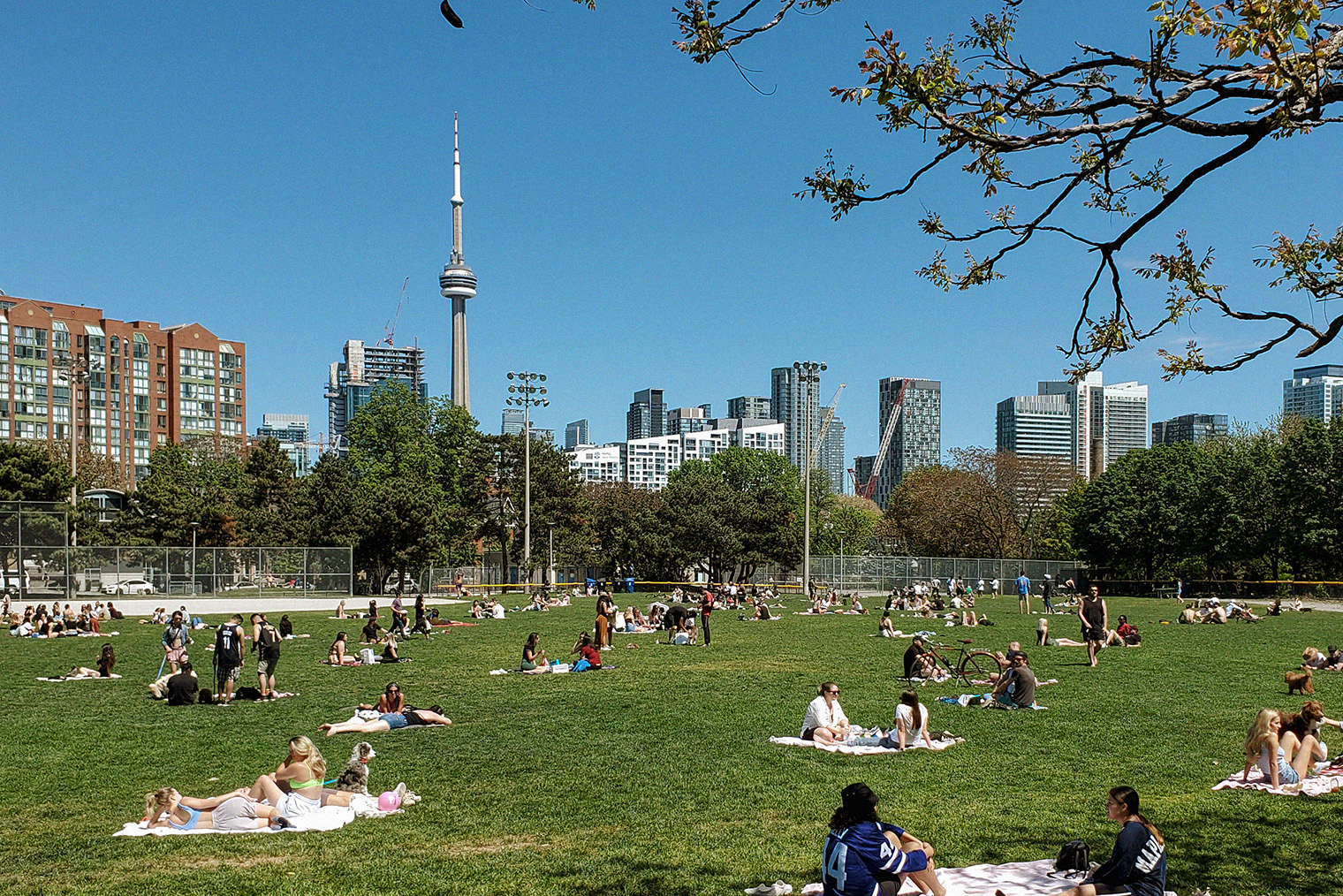 Stanley Park в мае 2021 года