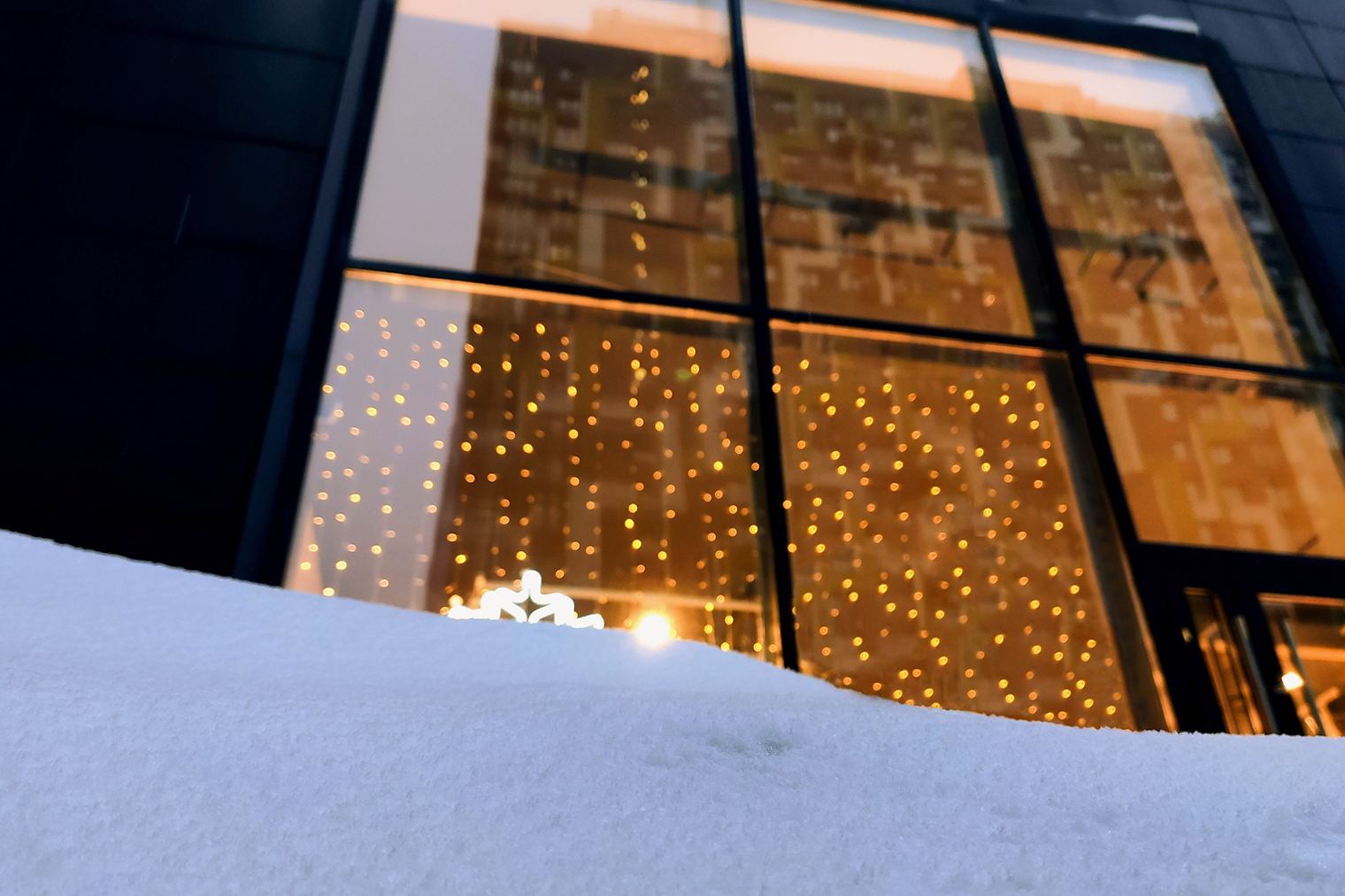 На окнах красиво смотрится гирлянда «Занавес», известная также как «Дождь». Она помогает создать волшебную атмосферу и в доме, и с улицы. Фотография: LudaZuy / Shutterstock