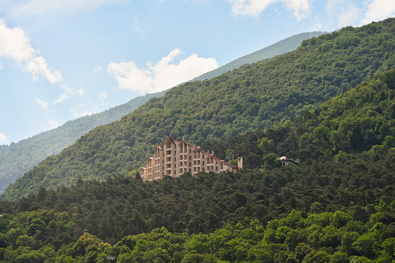 На склонах курорта «Армхи» — сосновый бор. Фотография: pdeminhiker / Shutterstock / FOTODOM