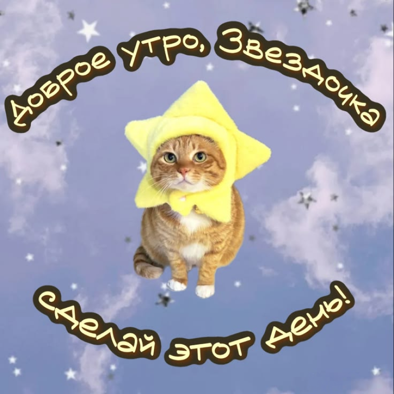 Звездочка