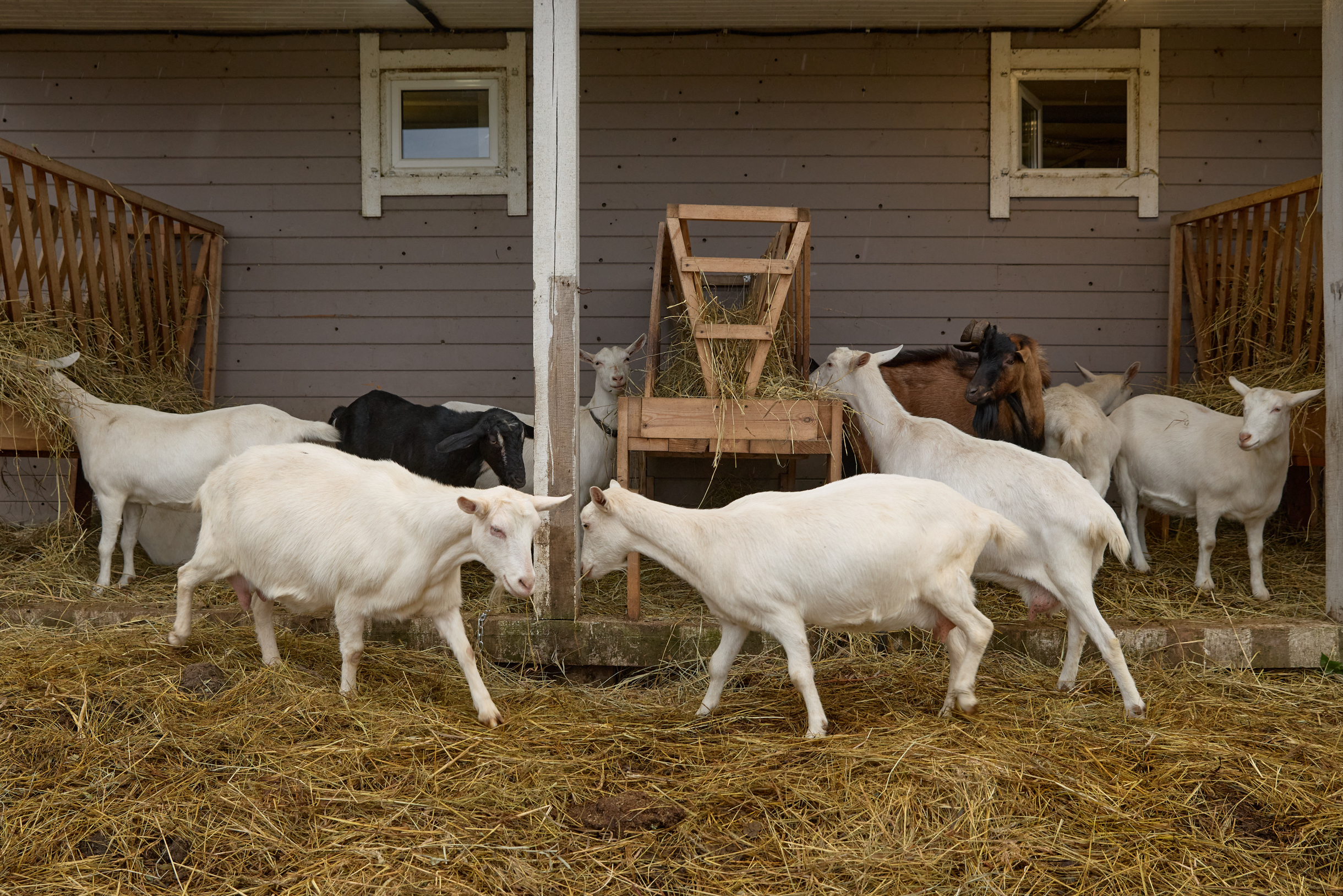 Но это были не мои родители, и они до сих пор так не говорят