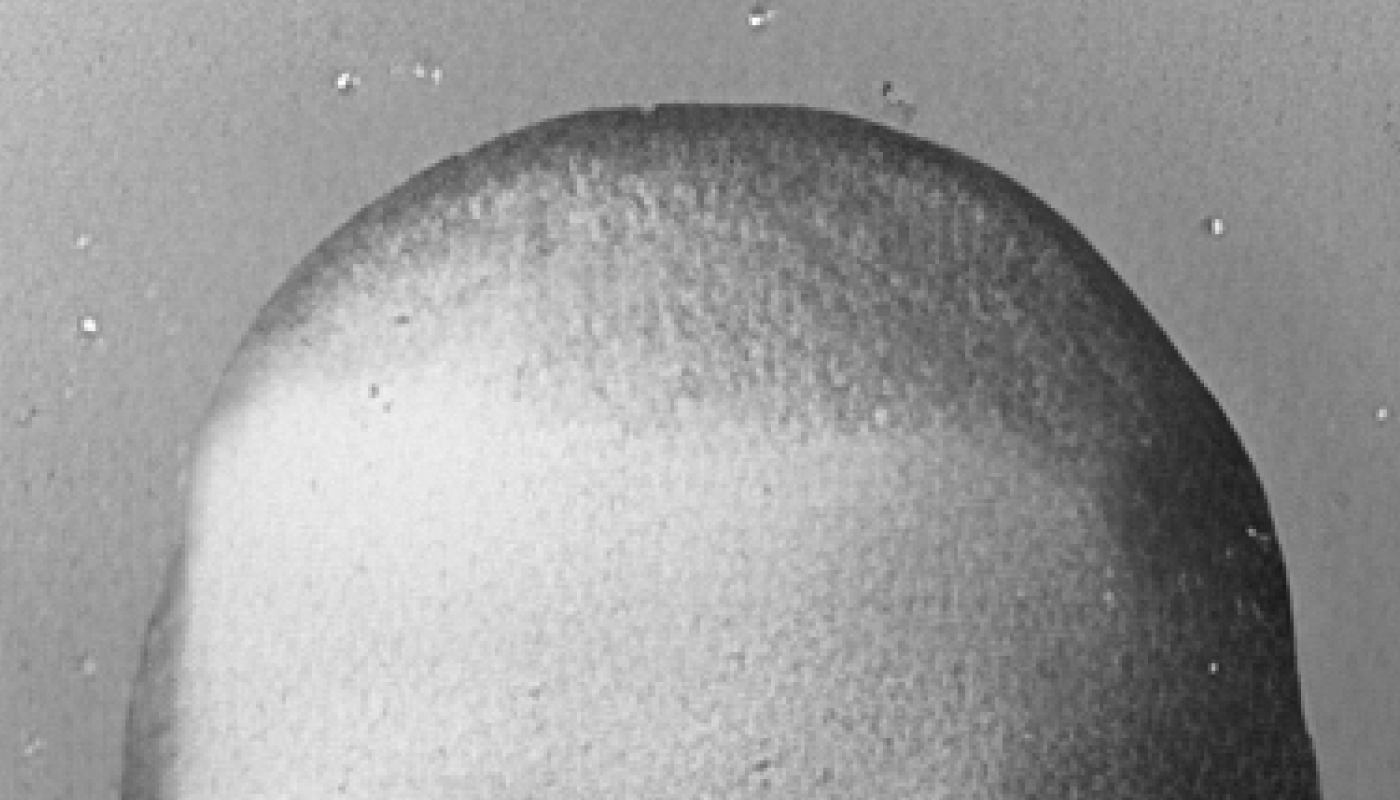 Изображение вопроса