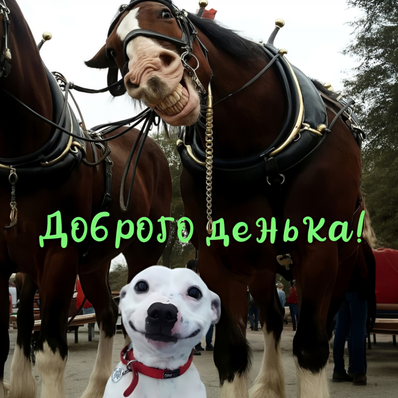 Пес и конь