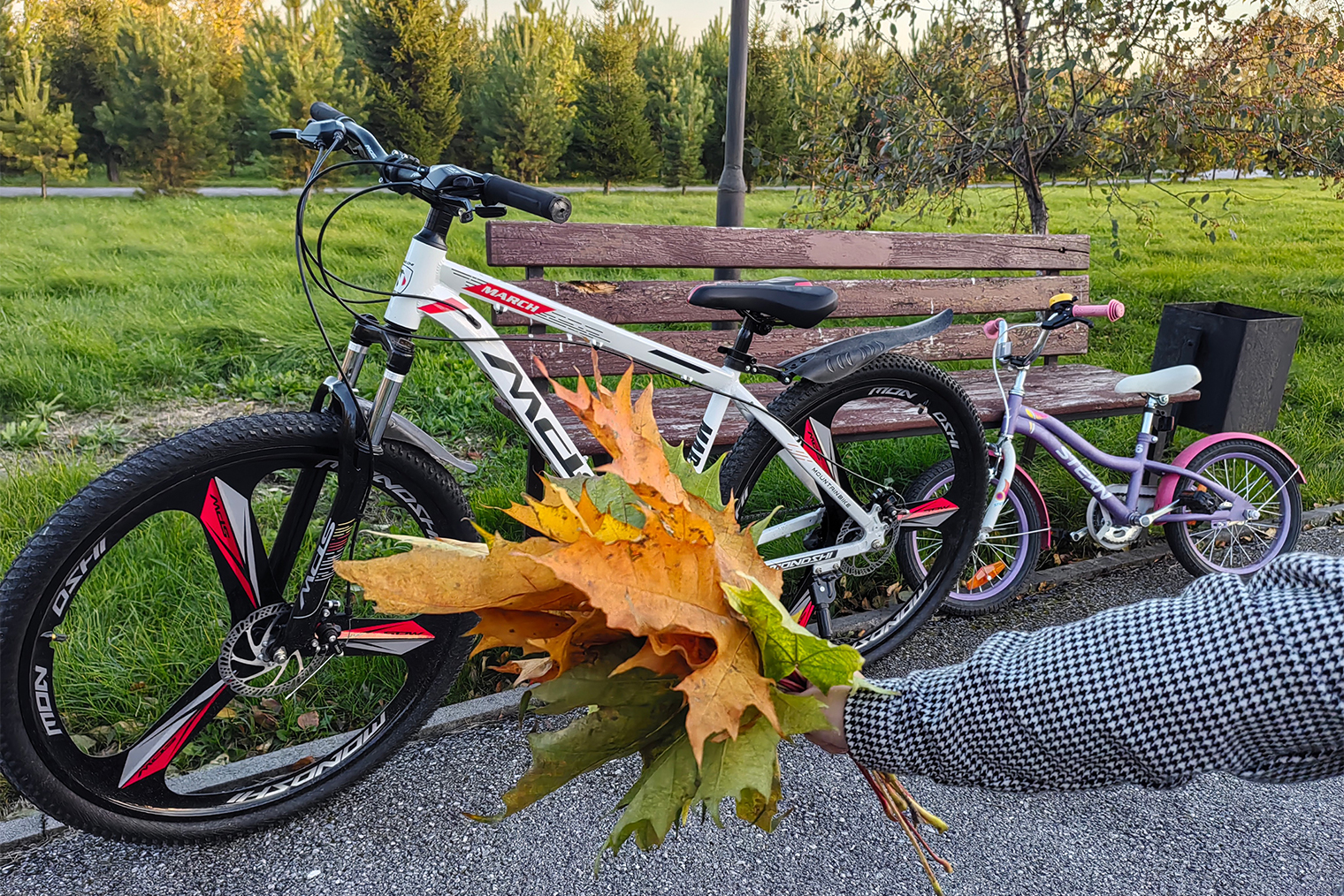 Поехали на прививку на велосипедах, по дороге собрали букет из листьев