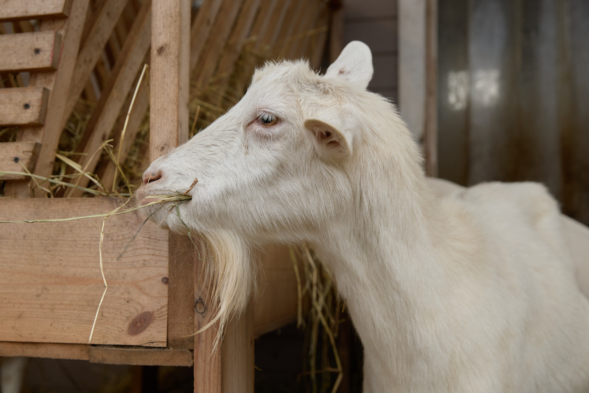 Так или иначе, моя жизнь — это моя жизнь, и я живу ее так, как считаю нужным