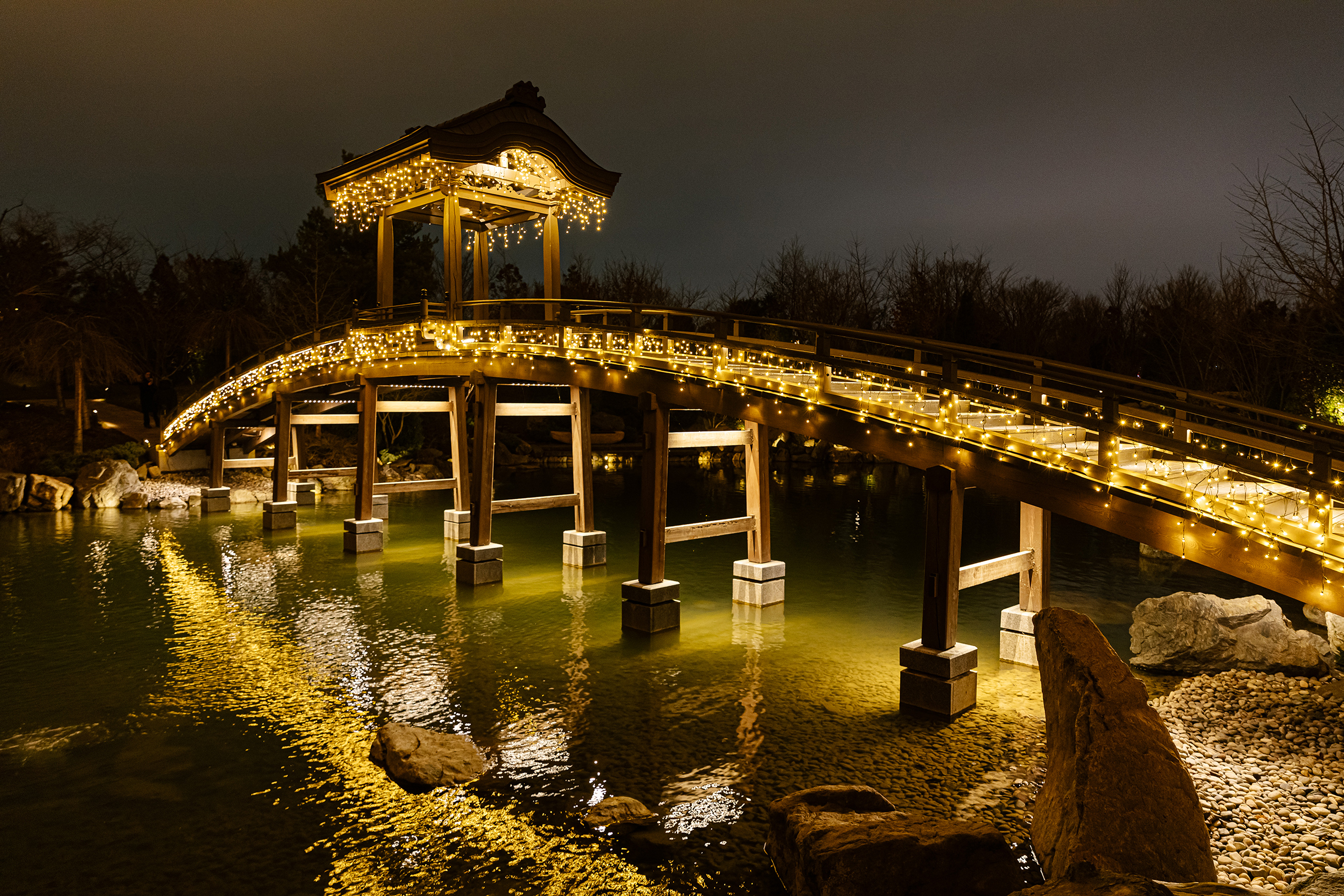На мосту через большое озеро Оикэ в Японском саду тоже разместили гирлянды