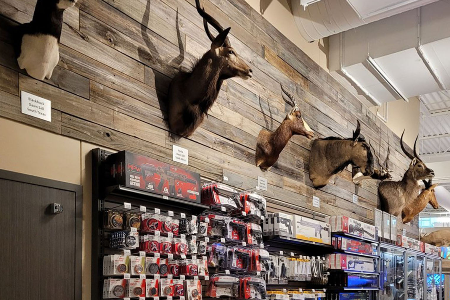 Чучела животных — популярный декор в магазинах активного отдыха