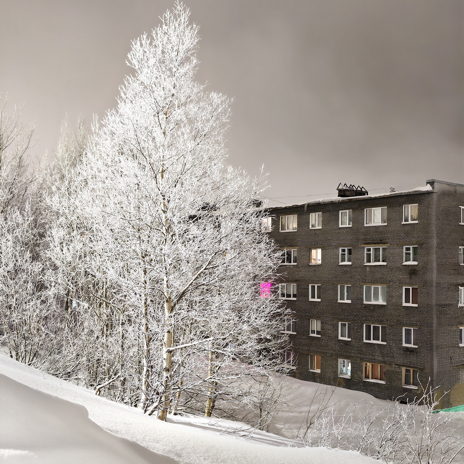 В один из вечеров мы пошли гулять по городу. Мои глаза в прямом смысле сходили с ума от белизны снега и чистоты вокруг. Это фото без обработки, и так было на 360°. Рельеф города — холмы и сопки, поэтому кое-где окна пятых-шестых этажей оказываются на уровне первого этажа дома напротив. Что-то мне подсказывает, летом путь через двор срезают прямо по холму вниз, но зимой там лежат сугробы в человеческий рост