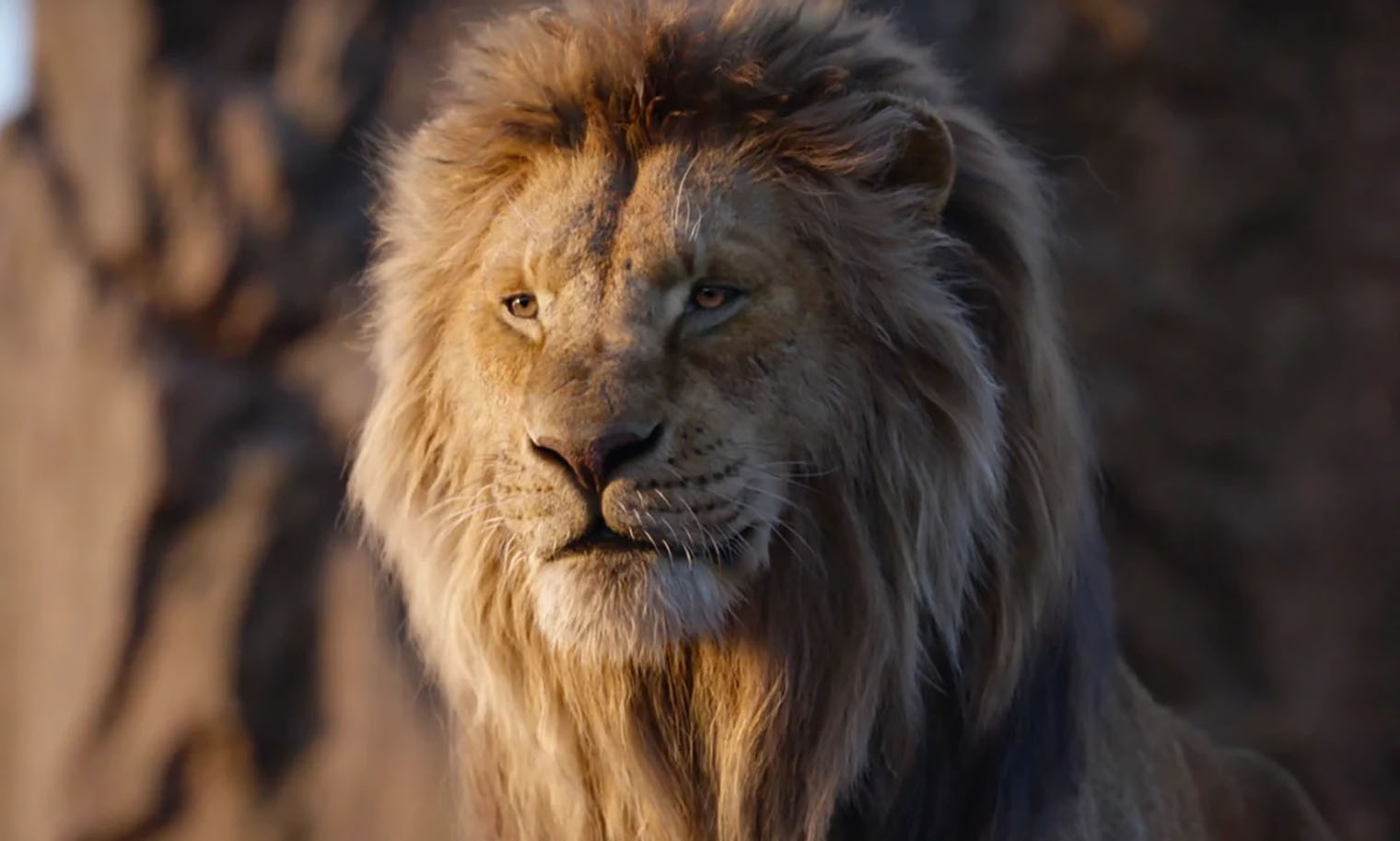 У анимационного «Короля Льва» было несколько сиквелов — а вот приквела о жизни Муфасы прежде не выходило. Кадр: Disney