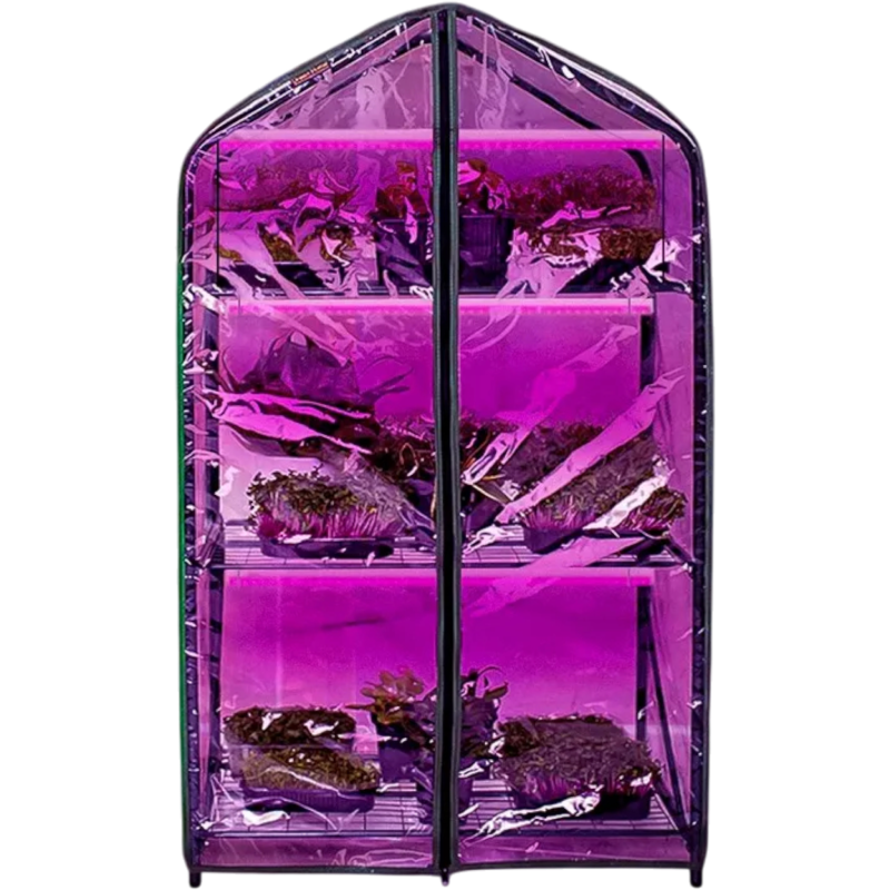 Домашний парник