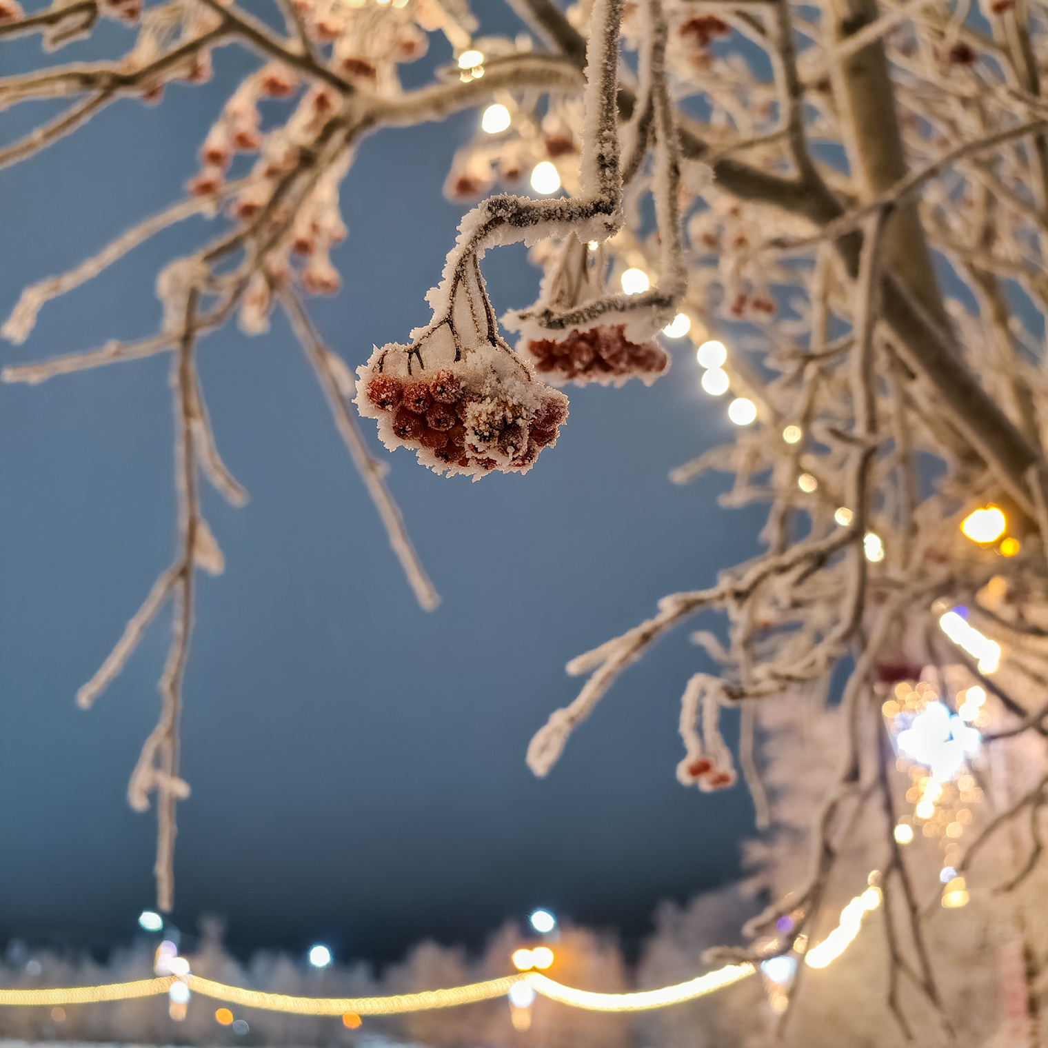 Городской парк с прудом недалеко от офиса «ФосАгро» — градообразующего предприятия Кировска и Апатит. Понравилось, что все было красиво и ухоженно, с новогодней подсветкой