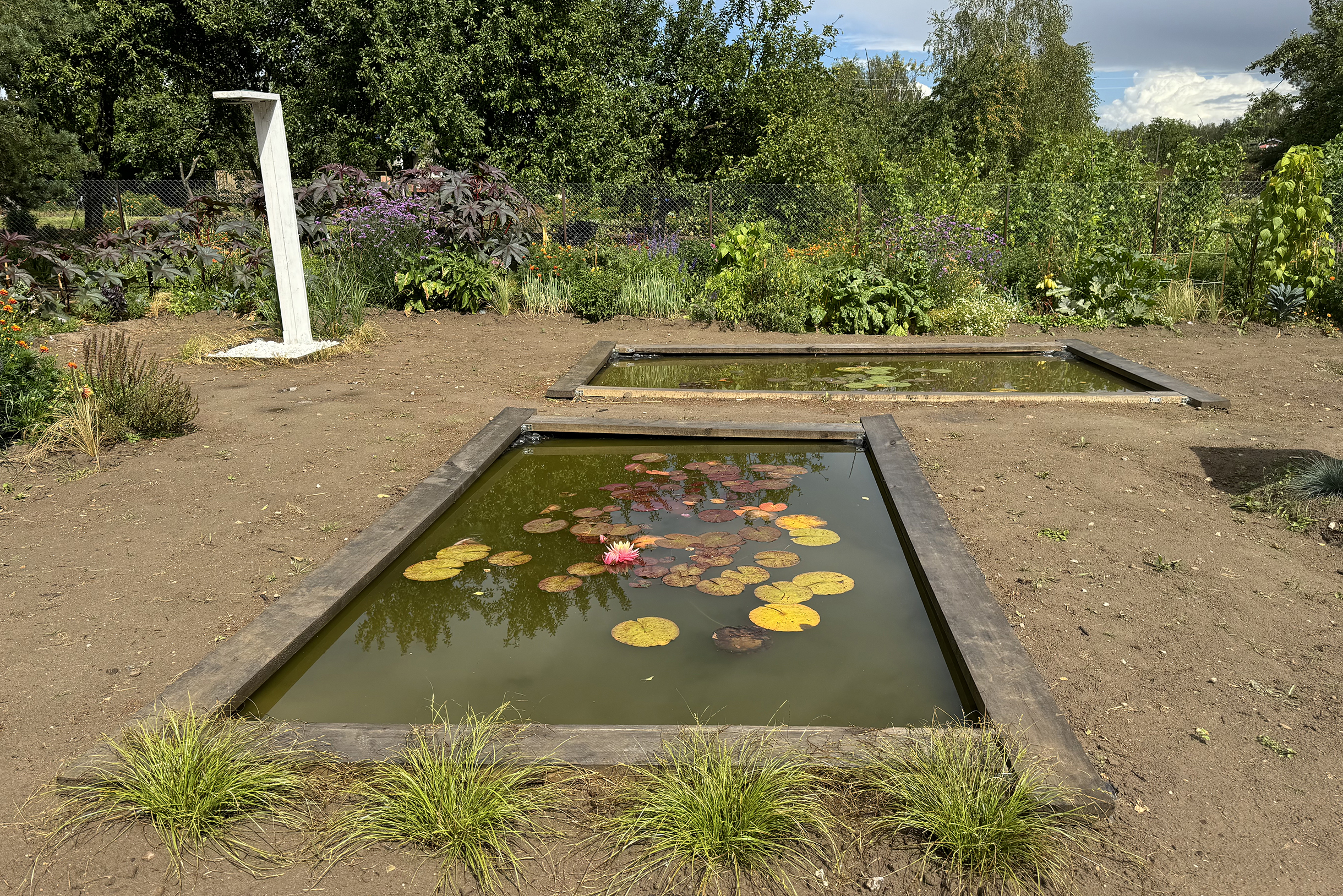 В прудах купаться нельзя, но они украшают участок