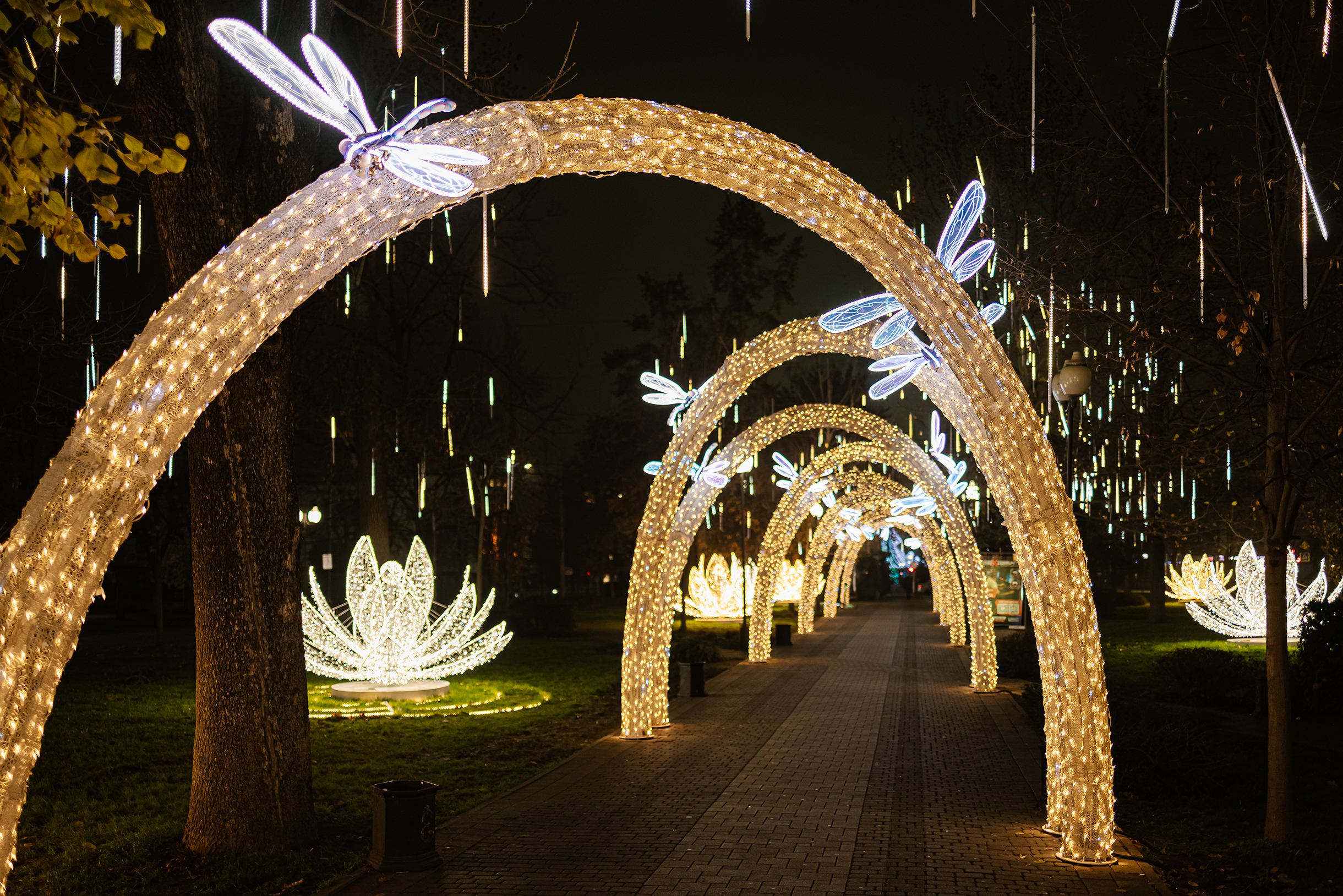 Одни инсталляции сменяют другие. Здесь арки с яркими стрекозами. Сверху динамично «капают» гирлянды. На полянах рядом установили огромные светящиеся лотосы. Они хорошо подсвечивают зеленую траву в декабре