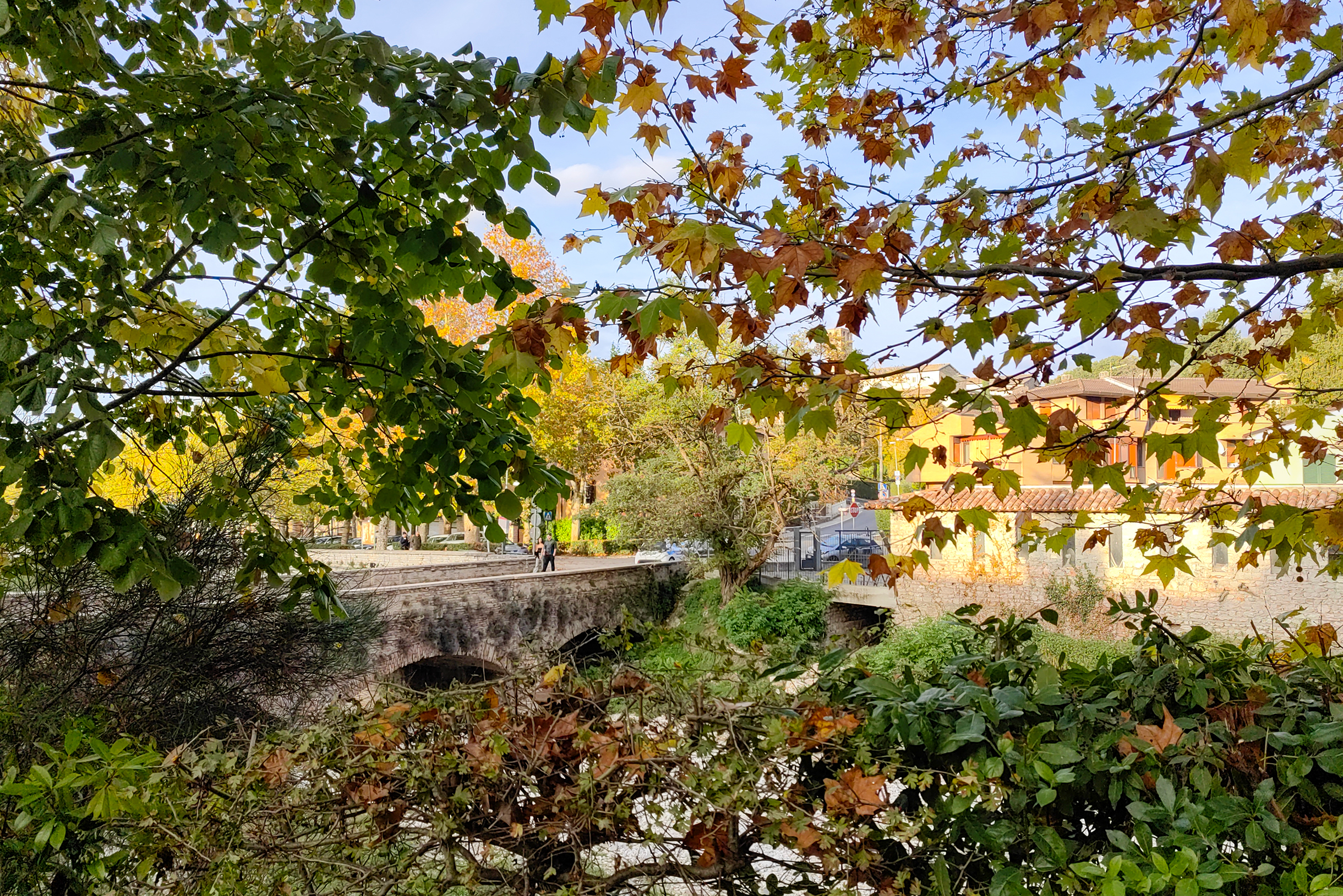 Все краски итальянской осени в одном кадре