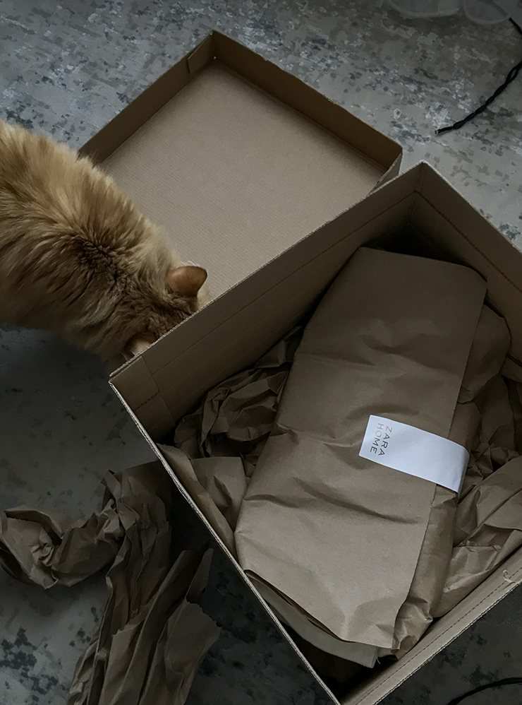 Кошка провела проверку перед отправкой посылки подруге