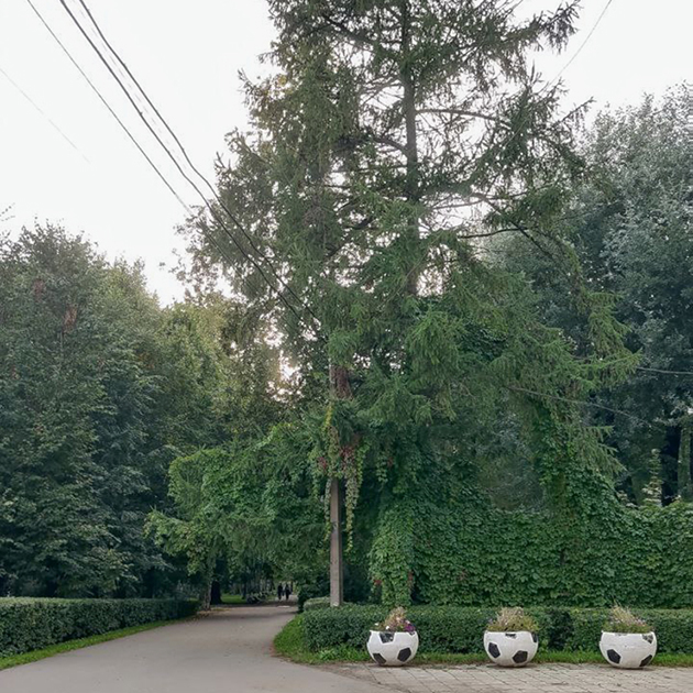 Сегодня на улице очень холодно