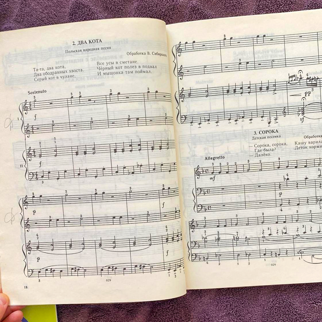 Дочь занимается сольфеджио. Учит такие песни