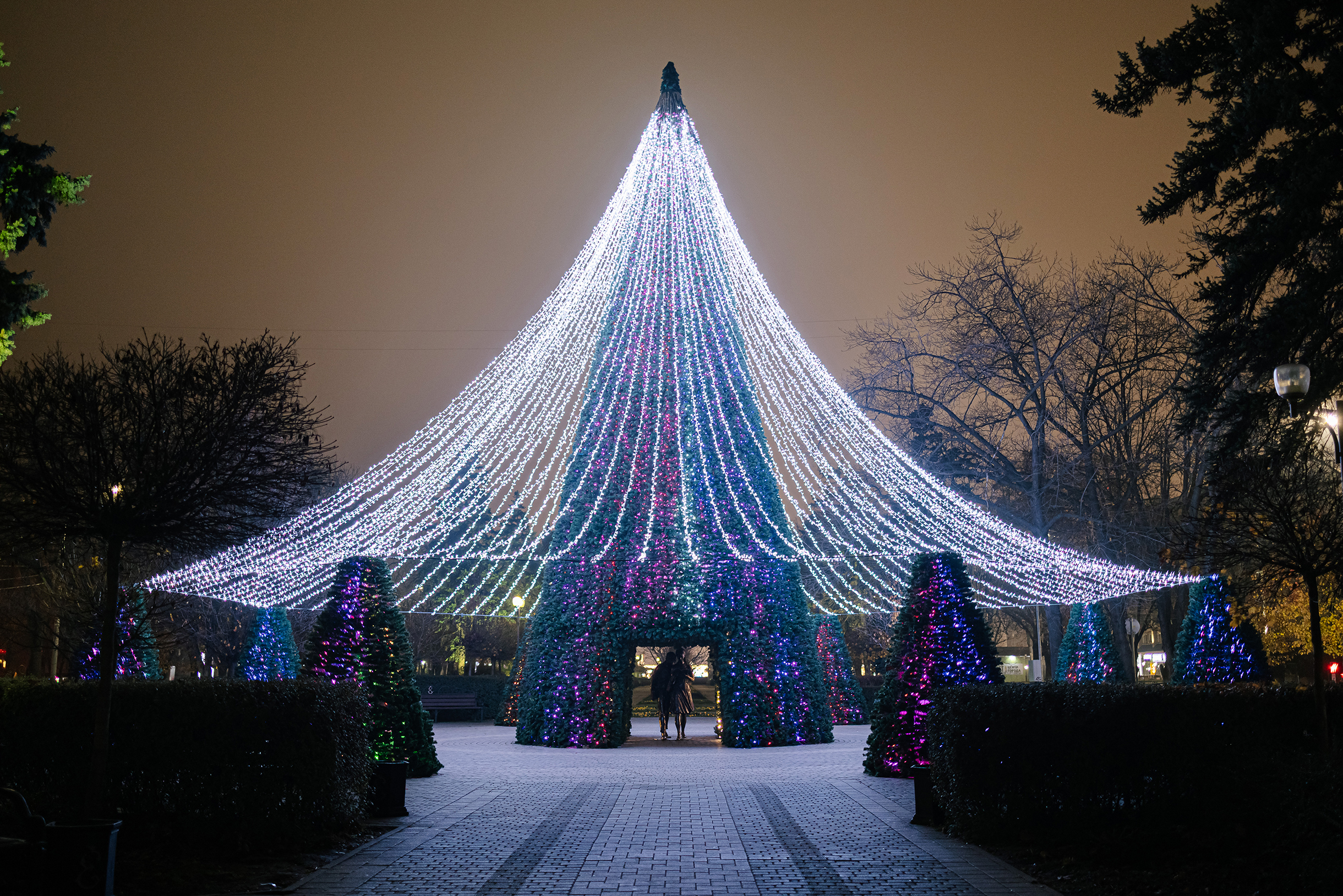 Над памятником Шурику и Лидочке установили огромную елку. Гирлянды создают над ней купол, растягиваясь от макушки к другим елкам, поменьше