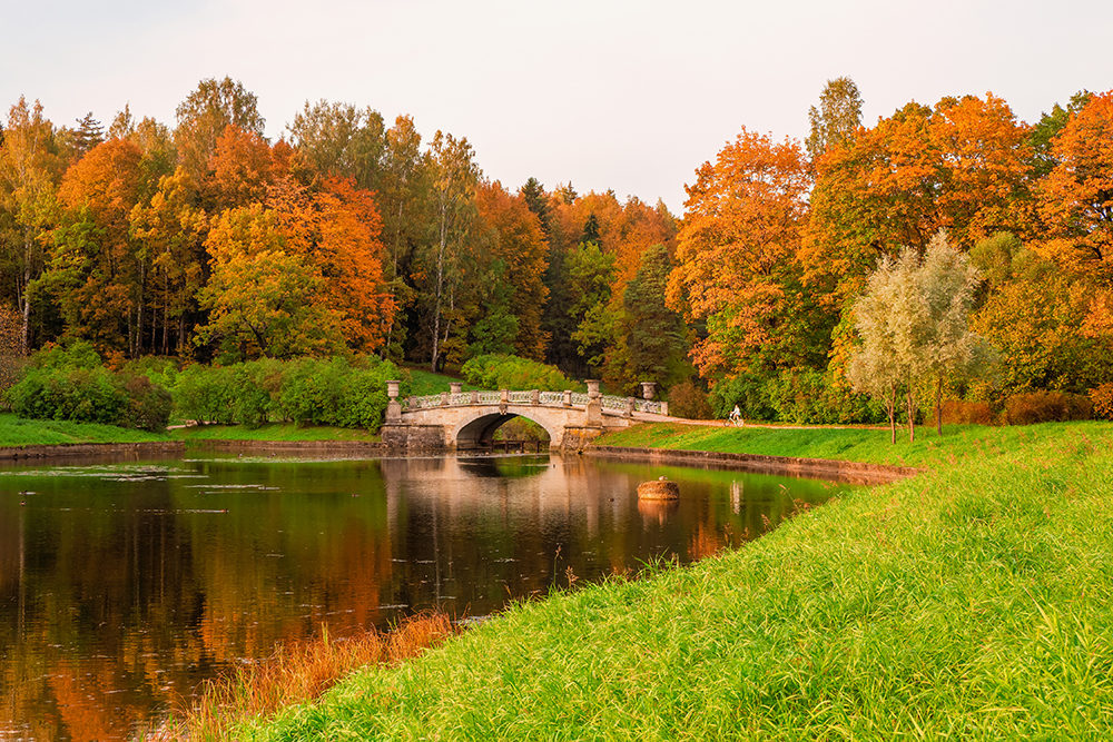 Я люблю теплую осень, когда можно гулять без шапки. Источник: Stanislav71 / Shutterstock