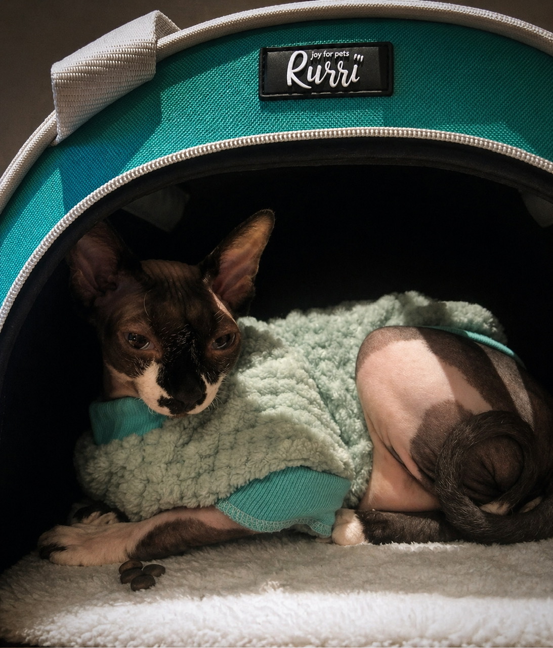 Переноска Лило