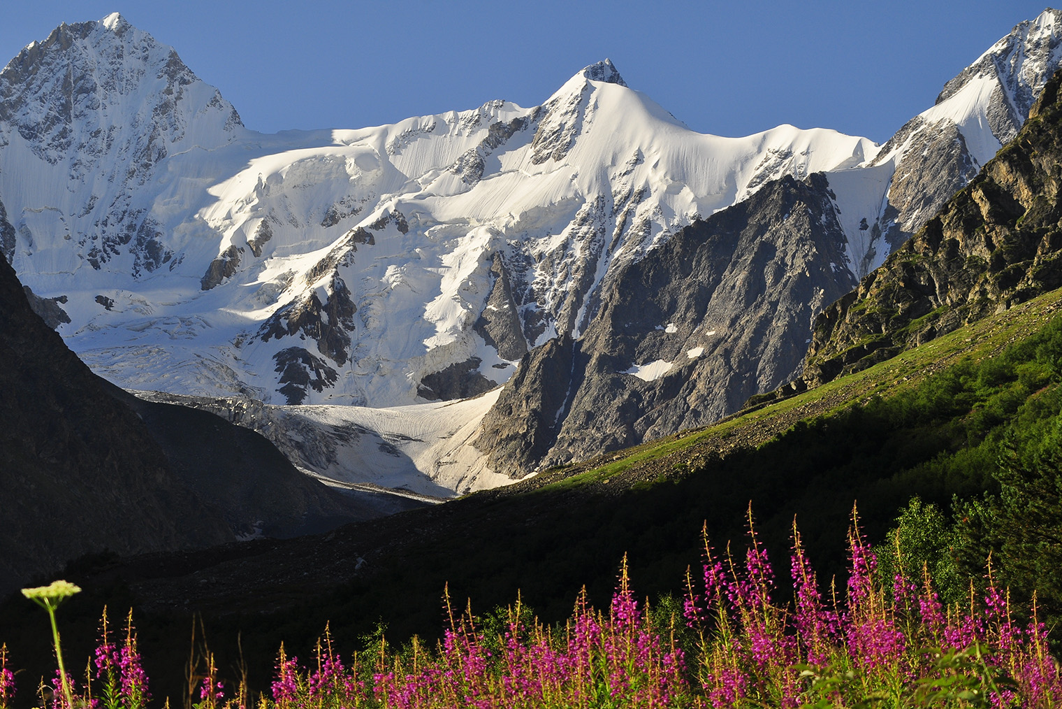 Ущелье Безенги. Фотография: Zaurbek / Shutterstock / FOTODOM