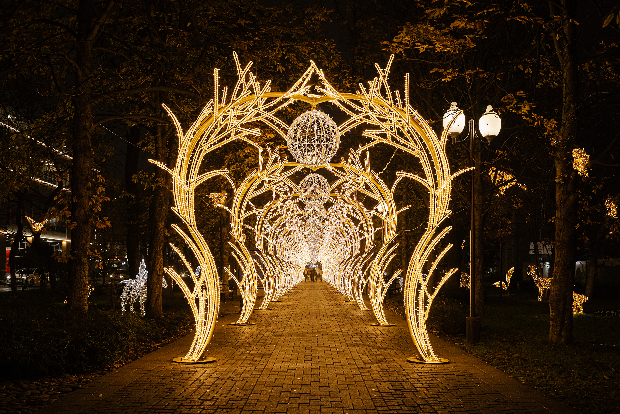 Светящиеся арки продолжают украшение Красной. Вокруг этих — различные животные и цветы. В центре каждой арки — большой новогодний шар