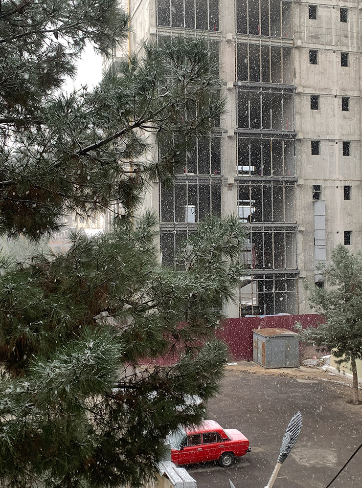 Вид из окна на кедры и стройку