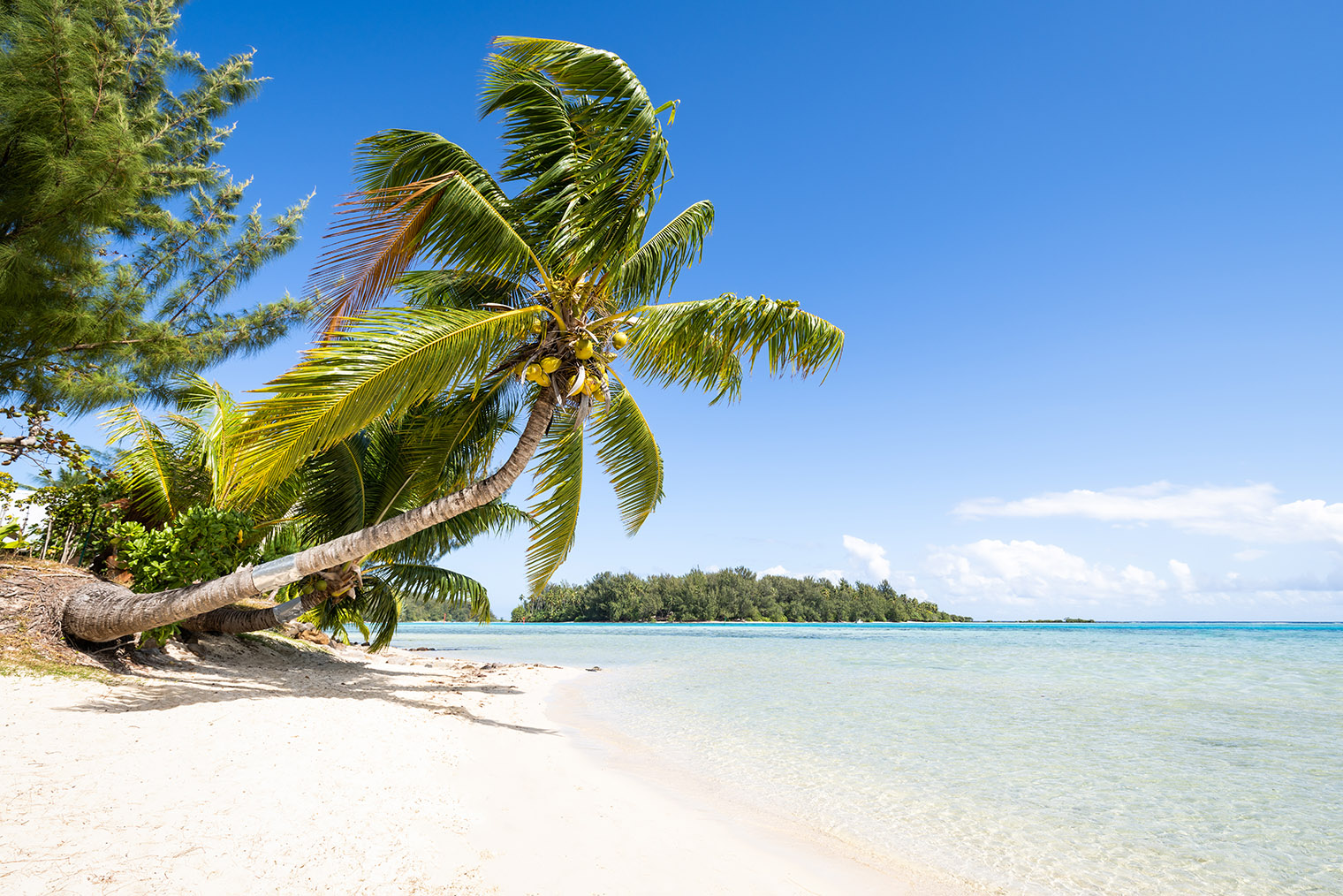 Мальдивские пляжи идеально получаются на фото. Фотография: mapman / Shutterstock / FOTODOM