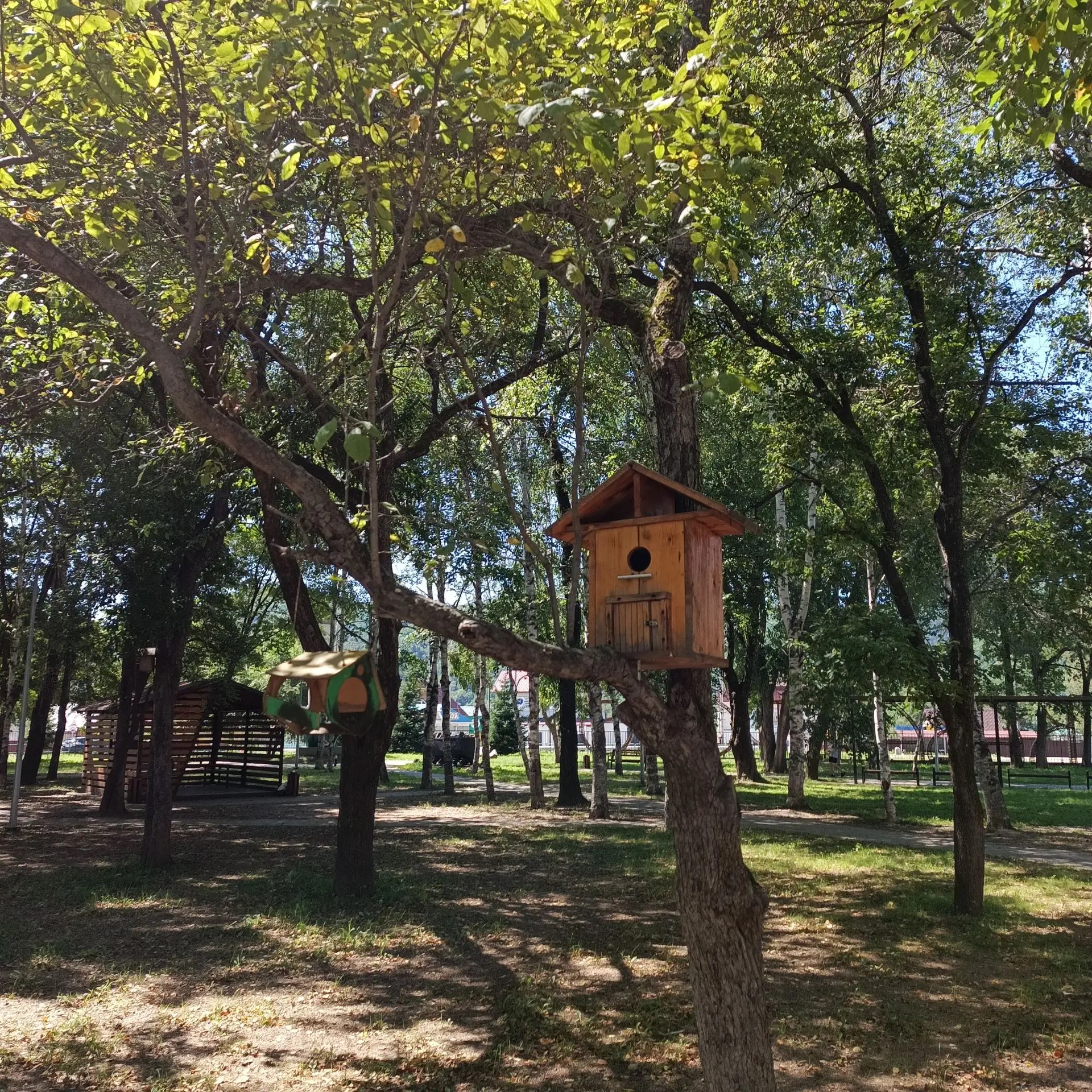 в сквере