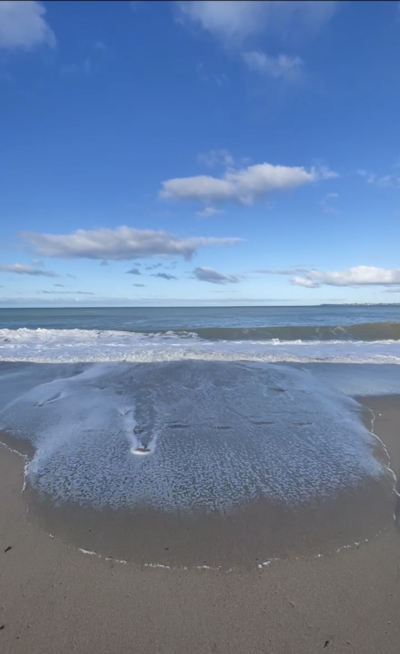 Фотография года