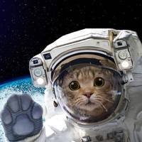 Артем Никитин 