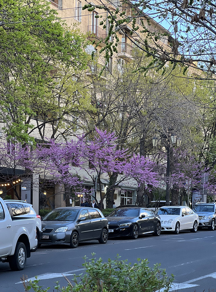Одна из улочек Еревана весной